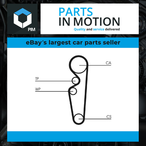 Timing belt kit fits - belt,